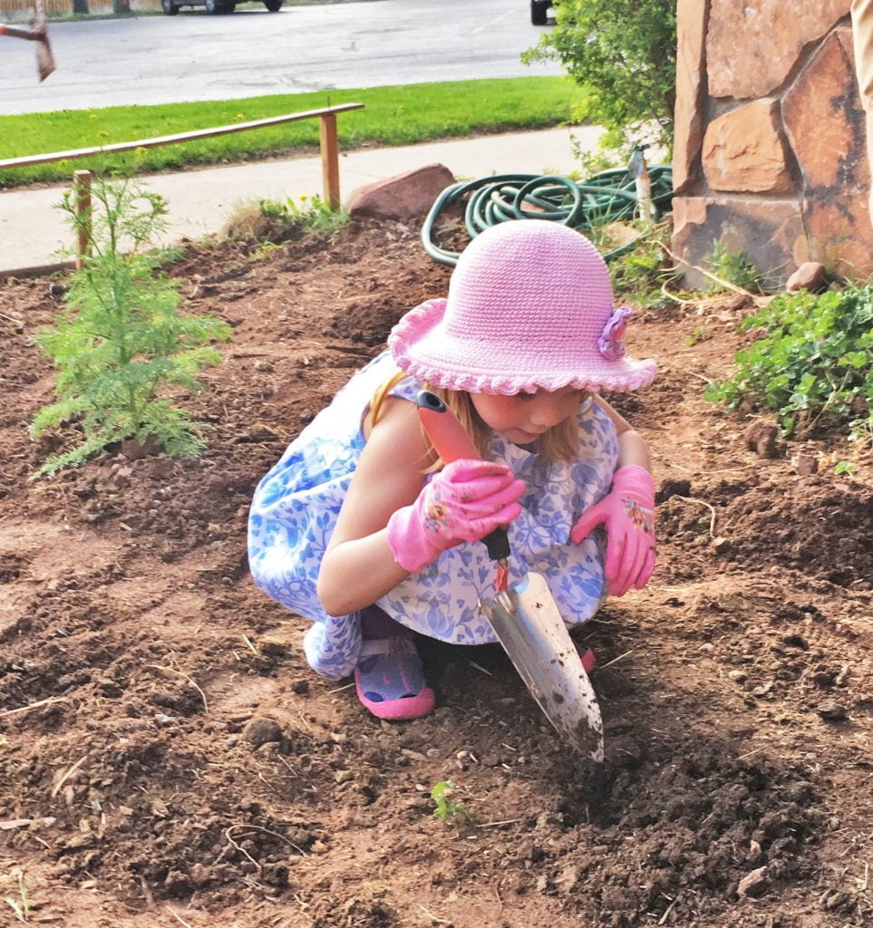 A little girl digs a hold in a garden.