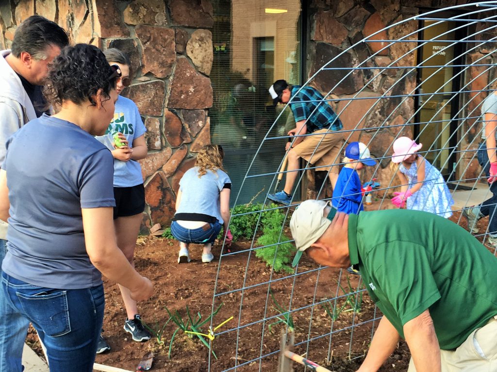 A group of people work together to create a garden.