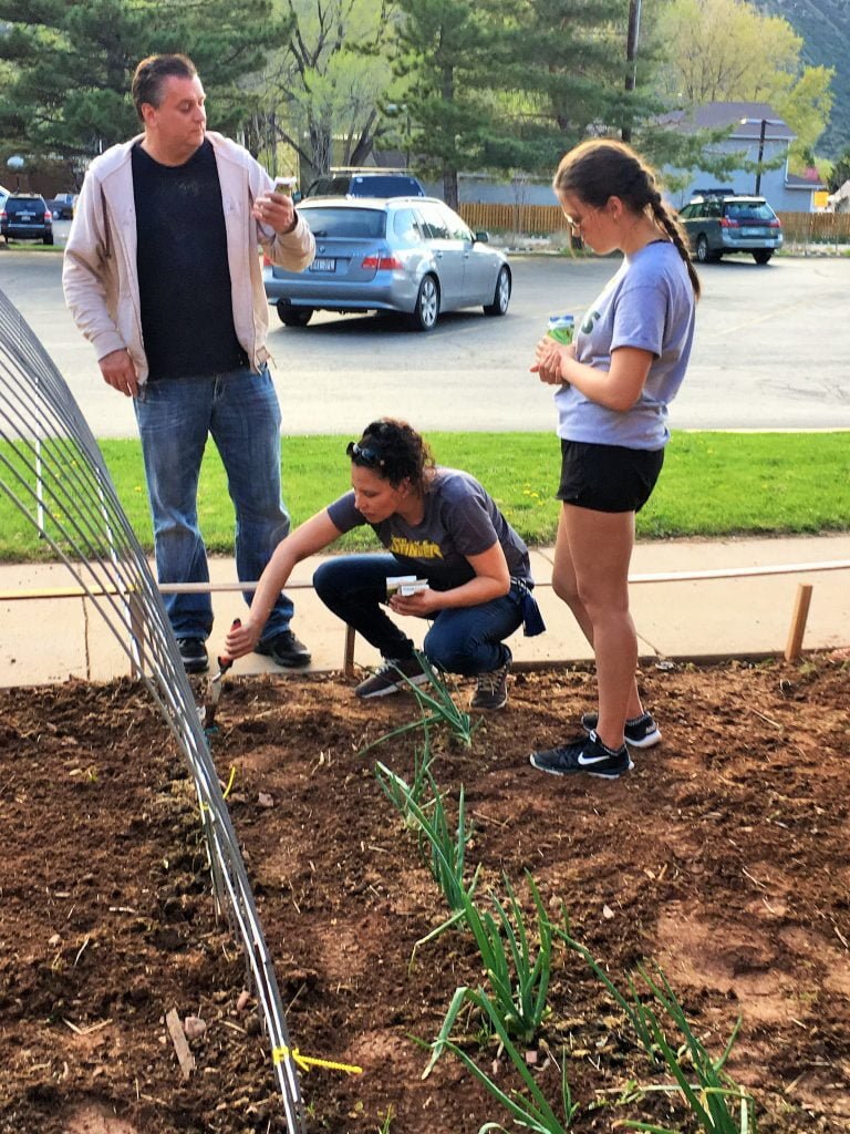 Group of people watching a woman work in a garden.