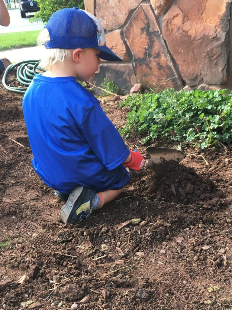 A child digging up dirt in a garden.